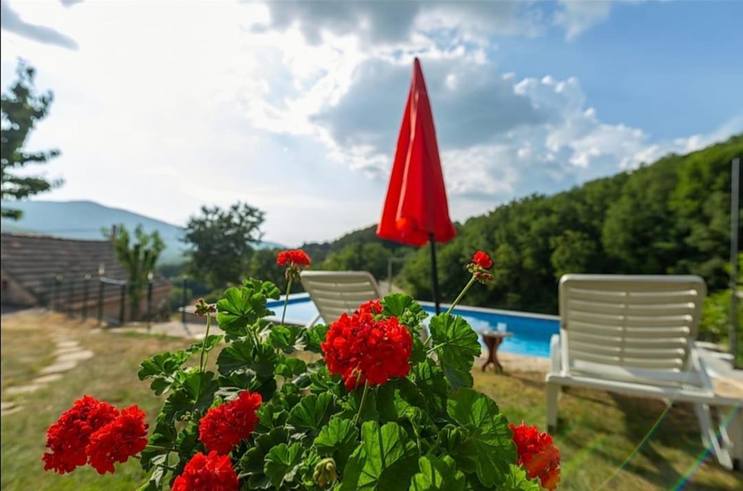 Honey House Villa Grabovac  Exteriör bild